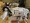 cummins_qsb6.7_480_hp_marine_diesel_engine