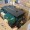 volvo_penta_d4_270_marine_diesel_engine_270_hp